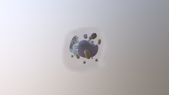 Keratinotsüüt (marrasknaha ogakiht) 3D Model
