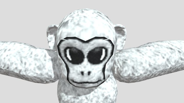 Lethal_paradox_playermodel 3D Model
