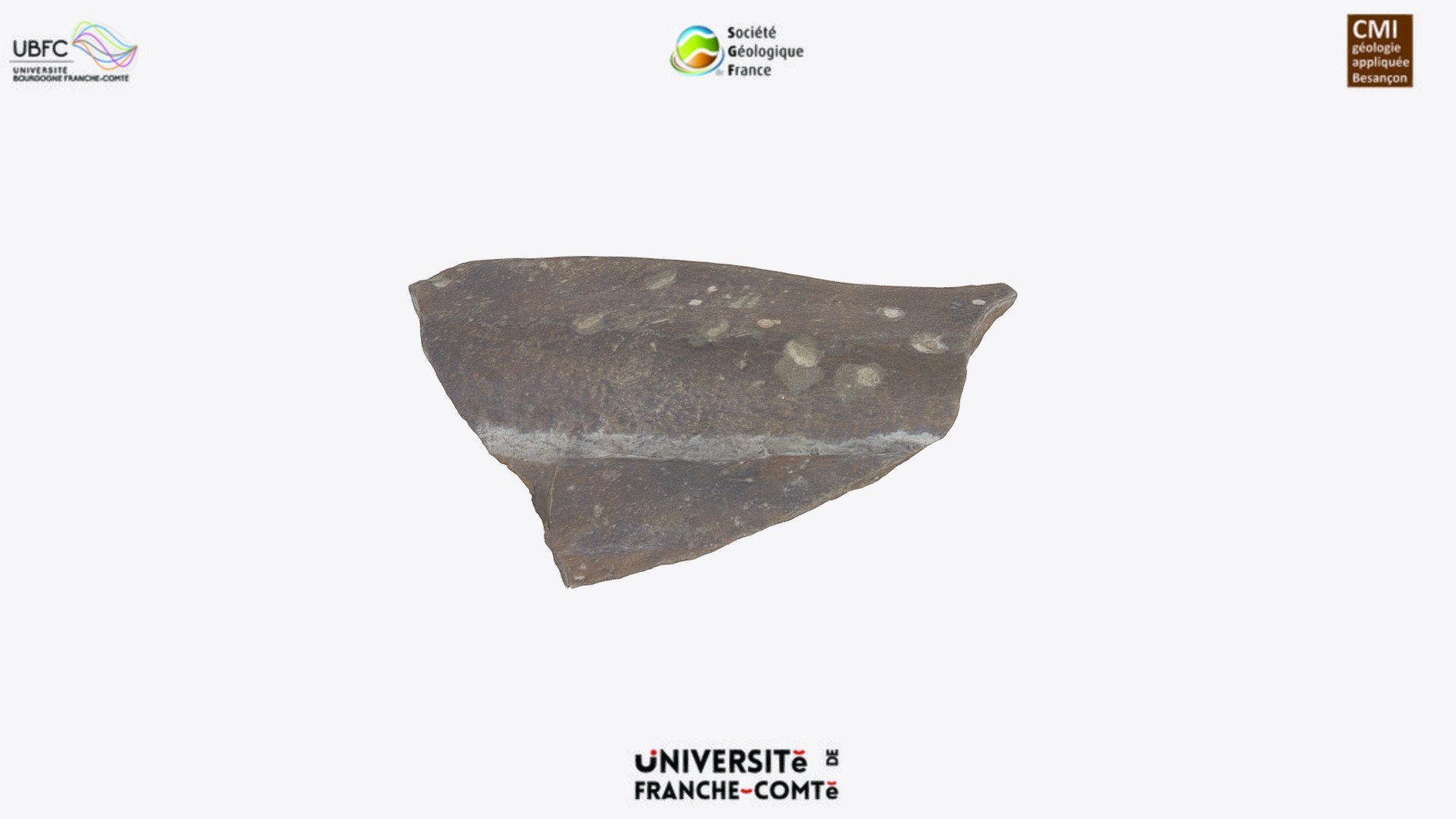 Groove casts Download Free 3D model by Société Géologique de France