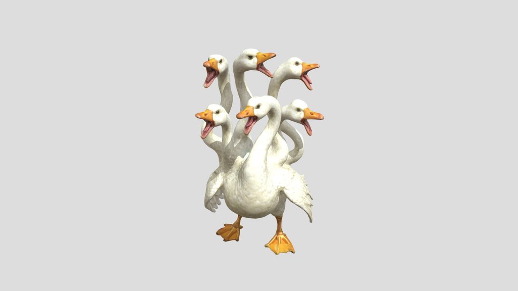 Swan Chorus
