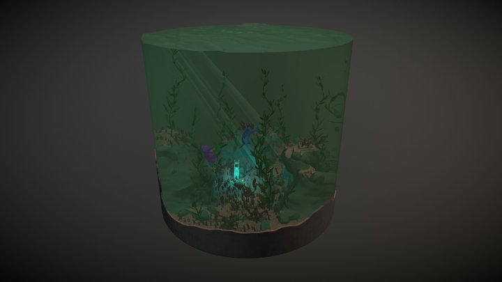 Sea Time Capsule 3D Model