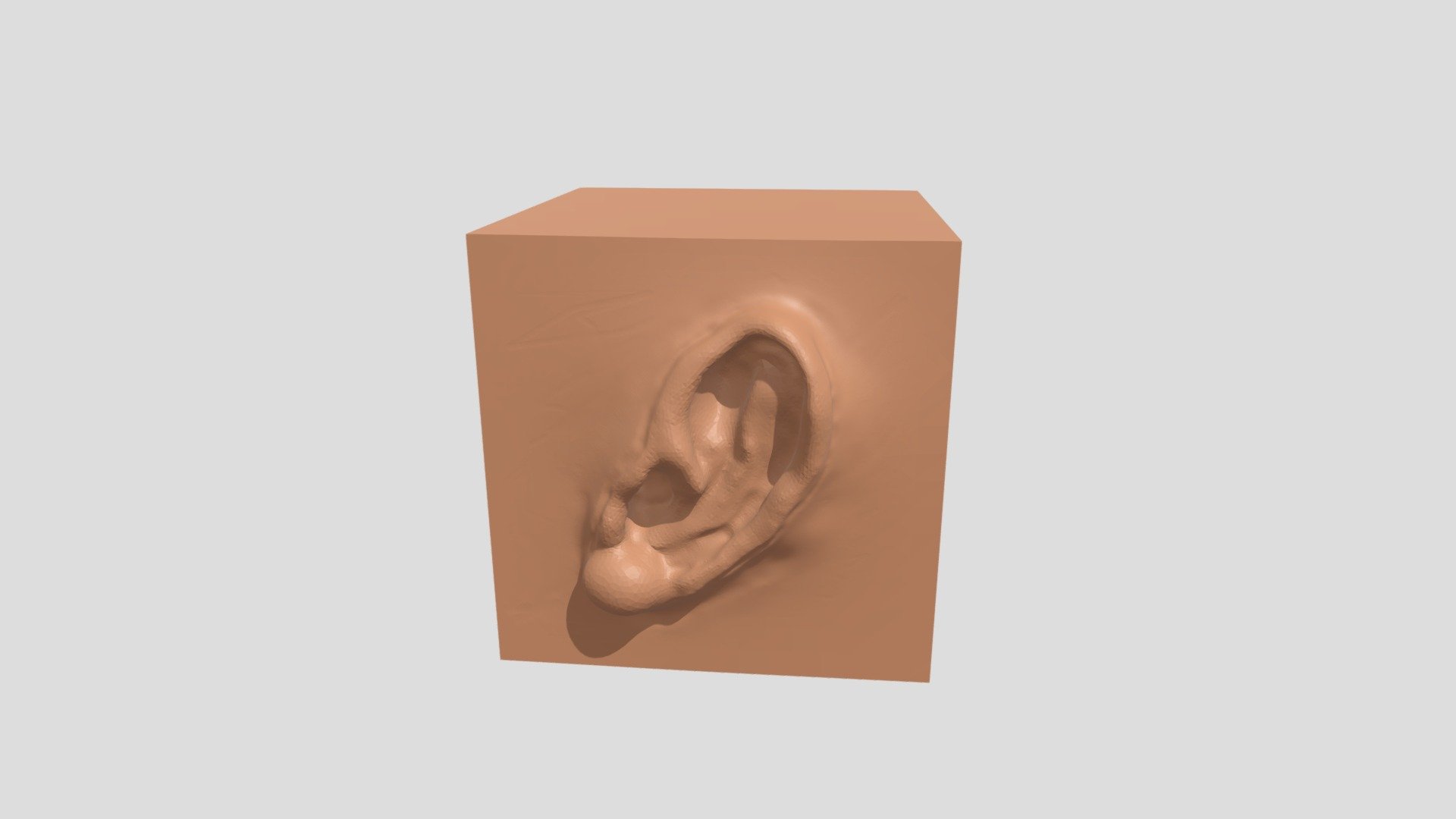 The Human Ear by Tariuse.