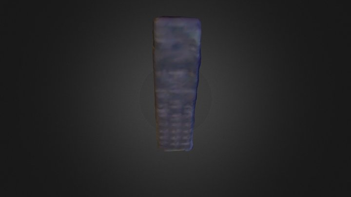 Remote 3D Model