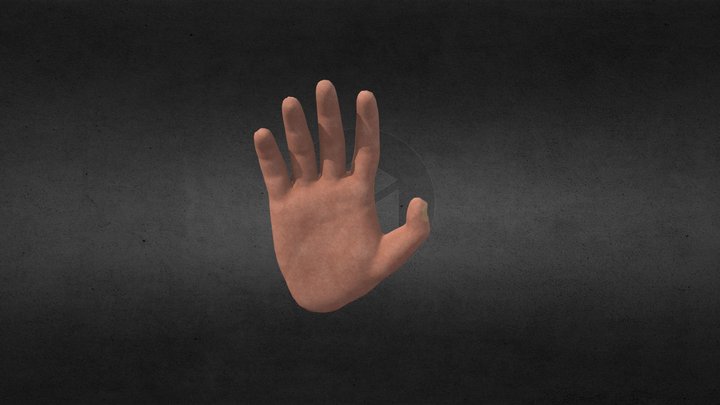 Hand_Sketch 3D Model