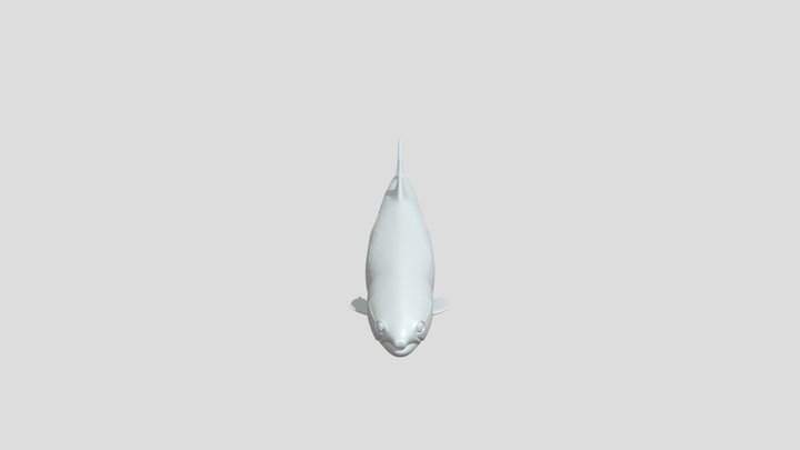 A fish swimming in water 3D Model
