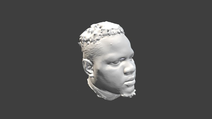 Head Scan 3D Model
