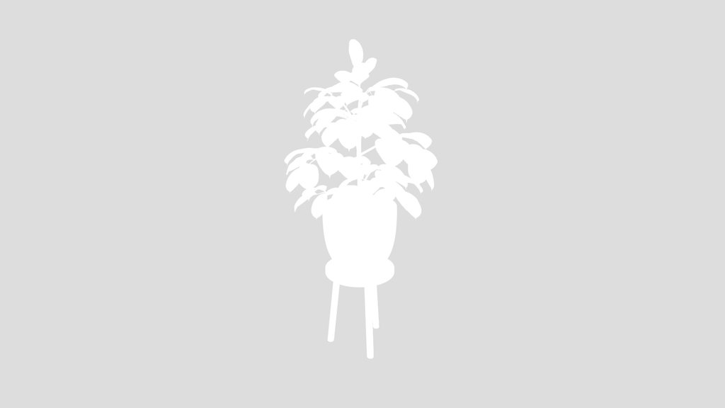 Indoor Plant Rubber Ficus Elastica