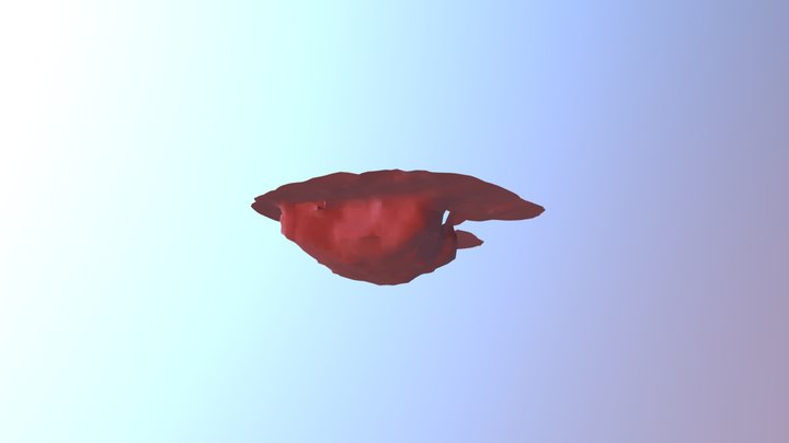111 3D Model