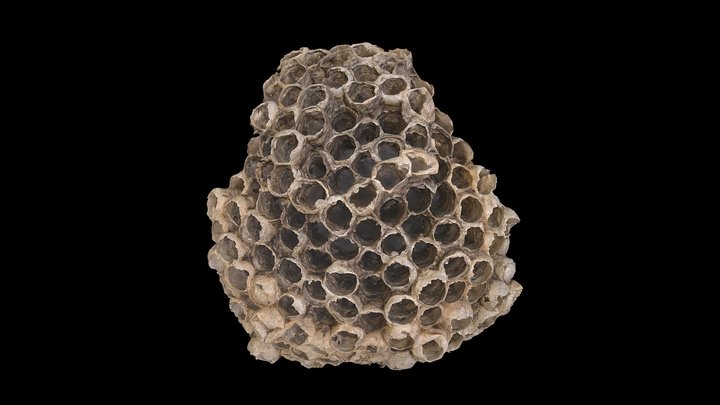 Beehive