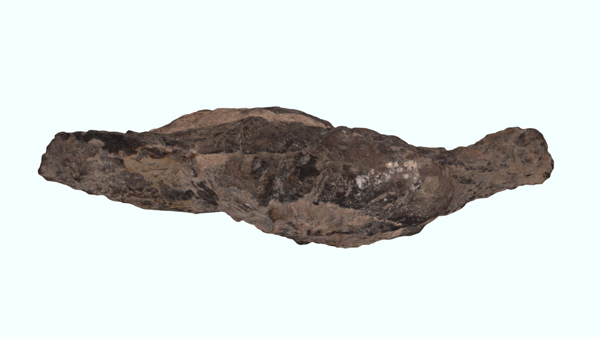 Coprolithe - Download Free 3D model by Ecole Nationale Supérieure de ...