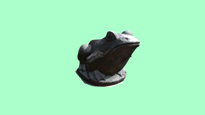 Frog Test 3D Model