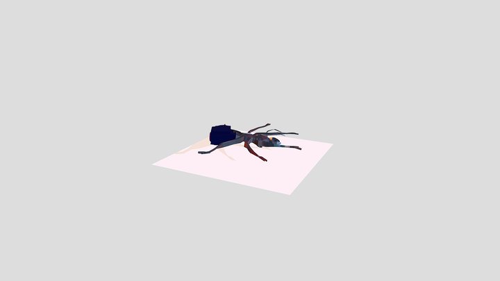 机器蚂蚁 3D Model