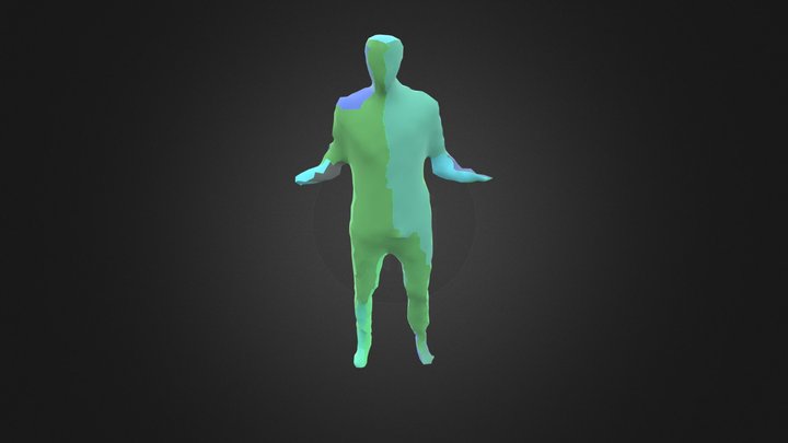 With Segm Texture 3D Model