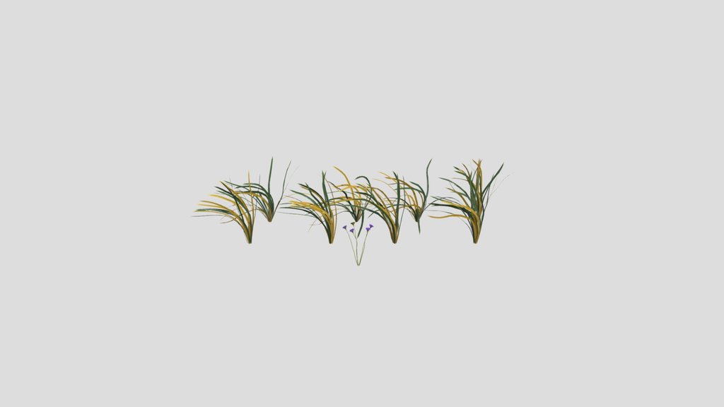 Grass