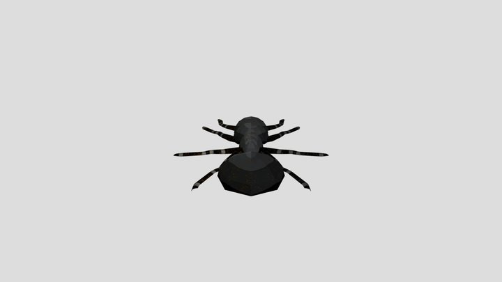 SM_Ant 3D Model