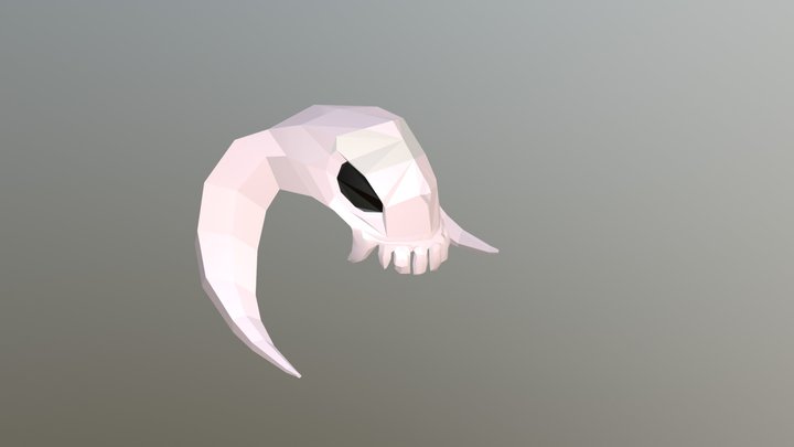 Skull 3D Model