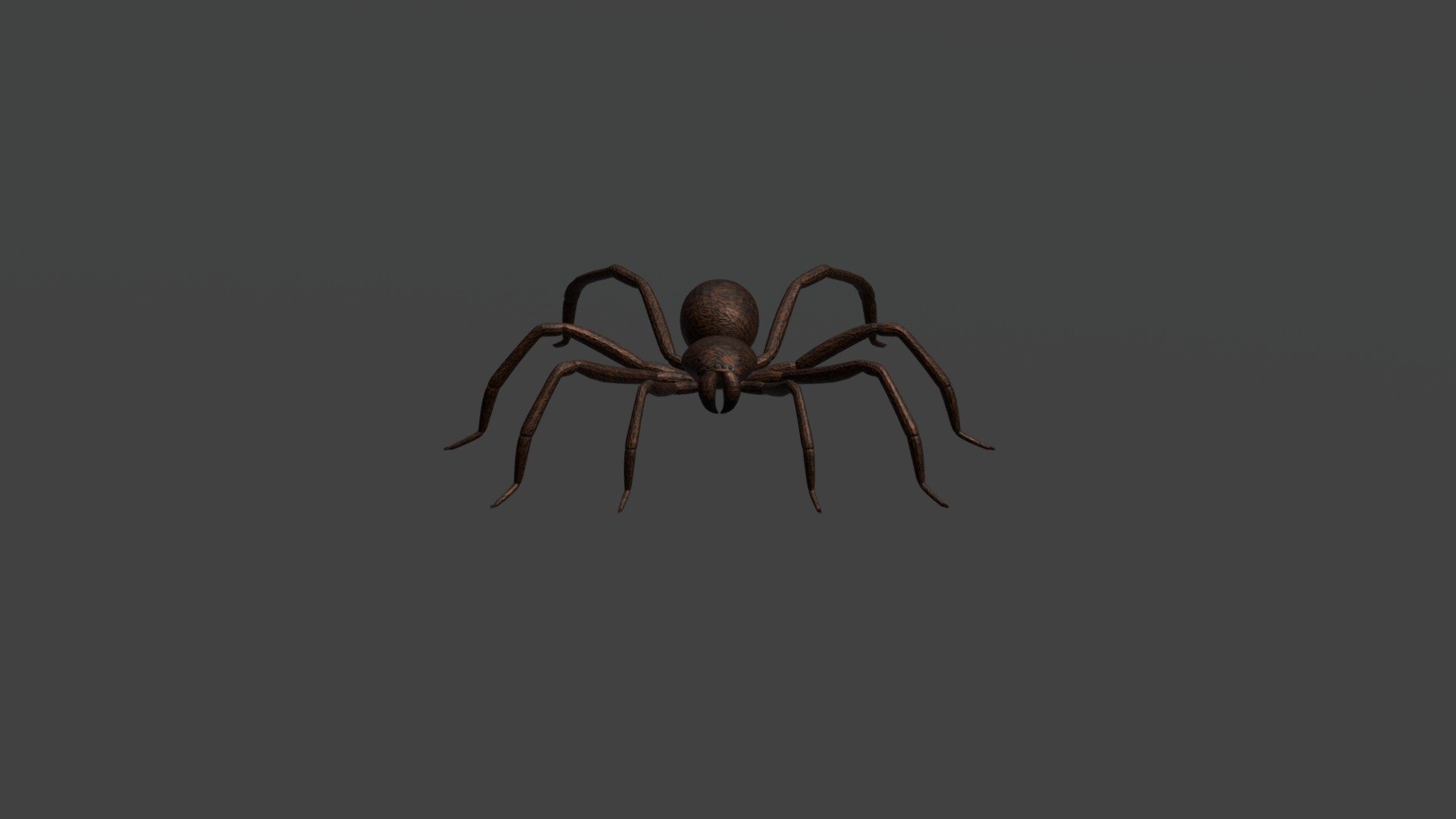 Spider