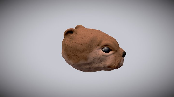 Otter - Adobe Medium 3D Model
