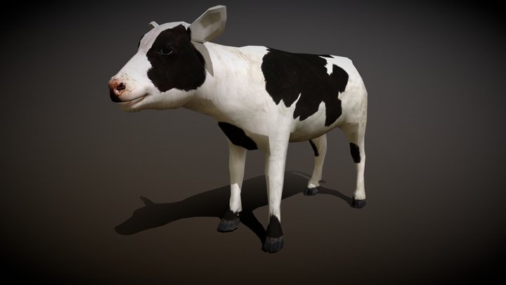 Calf 3D Model