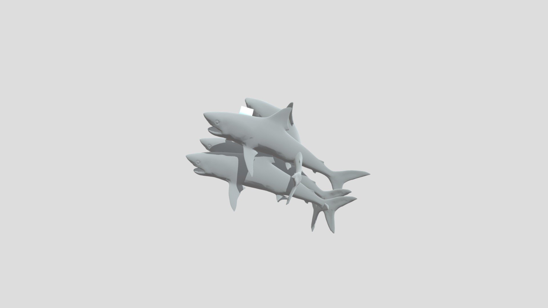 Shark Chaos