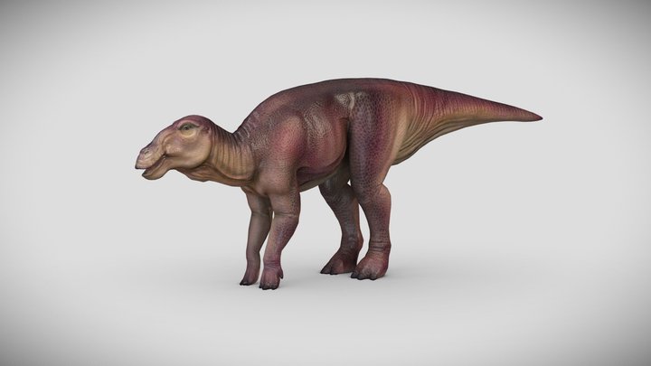 Edmontosaurus 3D Model