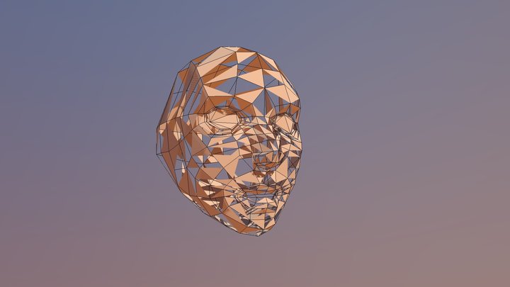 Face 3D Model