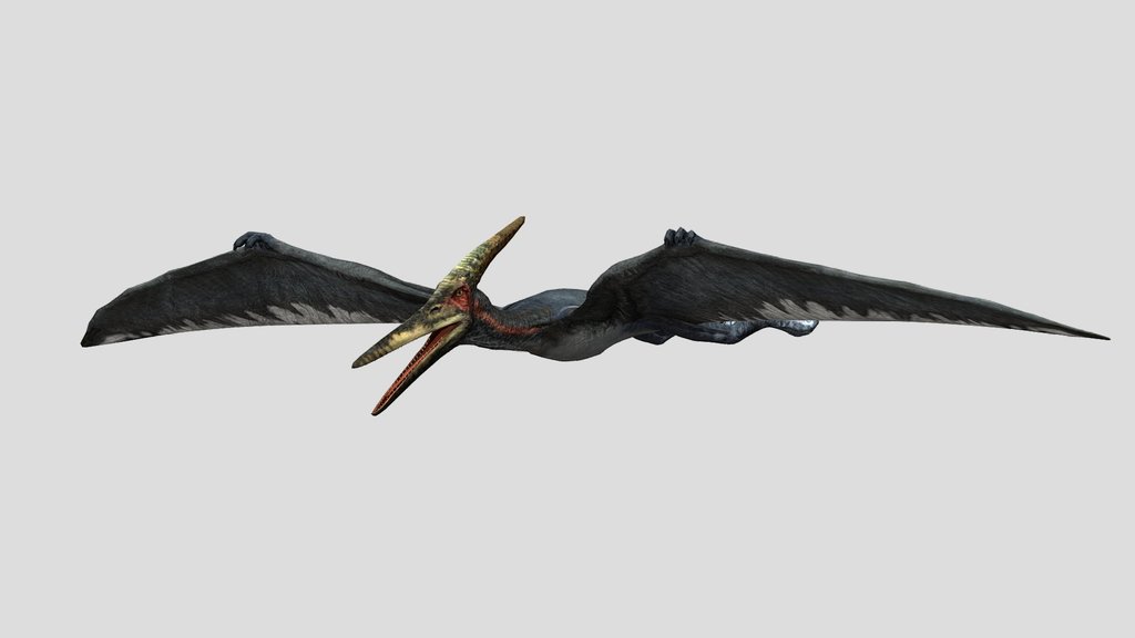 DracoWarrior's Alpha Male Pteranodon