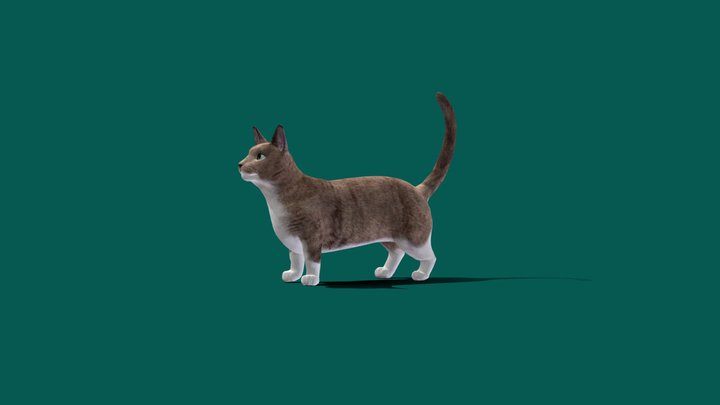 Short_legs 3D models - Sketchfab