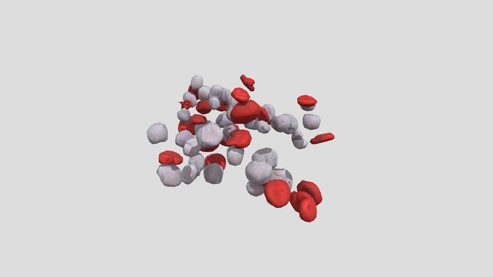 Blood Cells and Pathogens 3D Model
