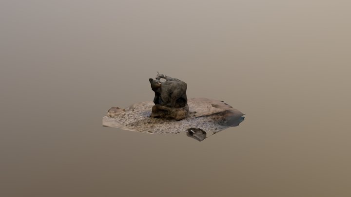 Bear 3D Model