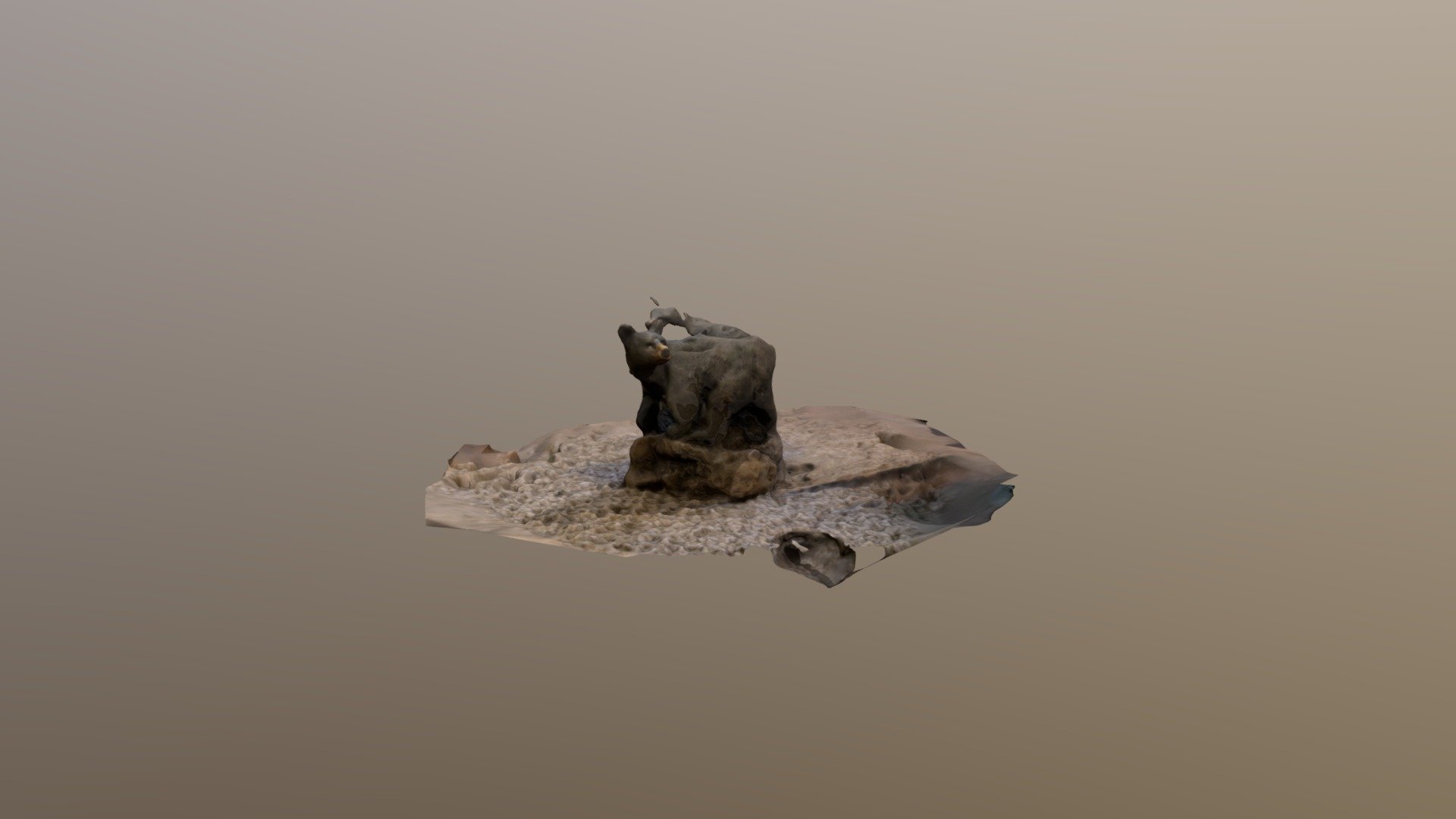 Bear