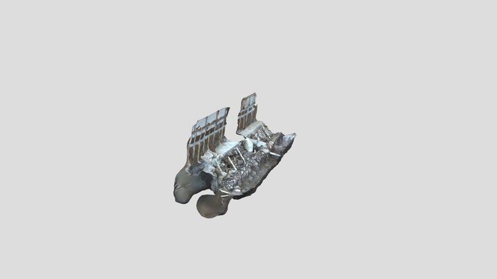 CLARA_ROJAS_COSTADO_W_CIMIENTO(111) 3D Model