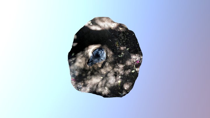 Clandestine Grave 3D Model