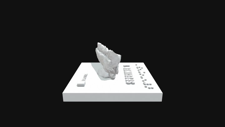 w/scale - Specimen 1 - Paleontologists for a Day 3D Model