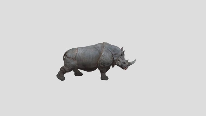 Animated Rhino 3D Model