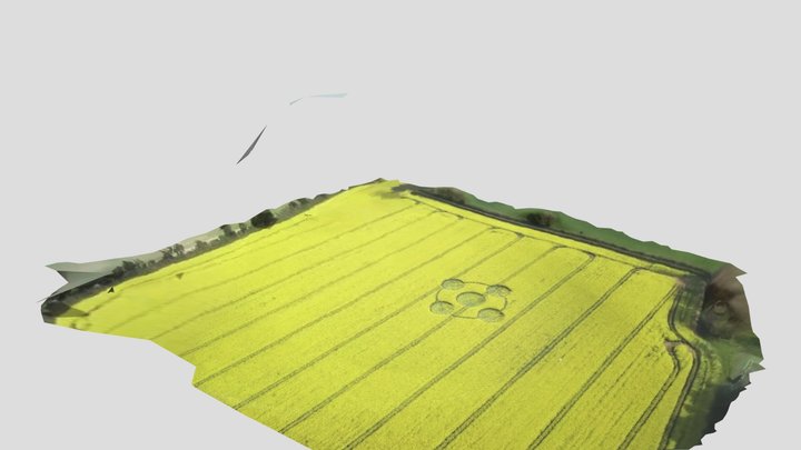Cropcircle2_v3 3D Model