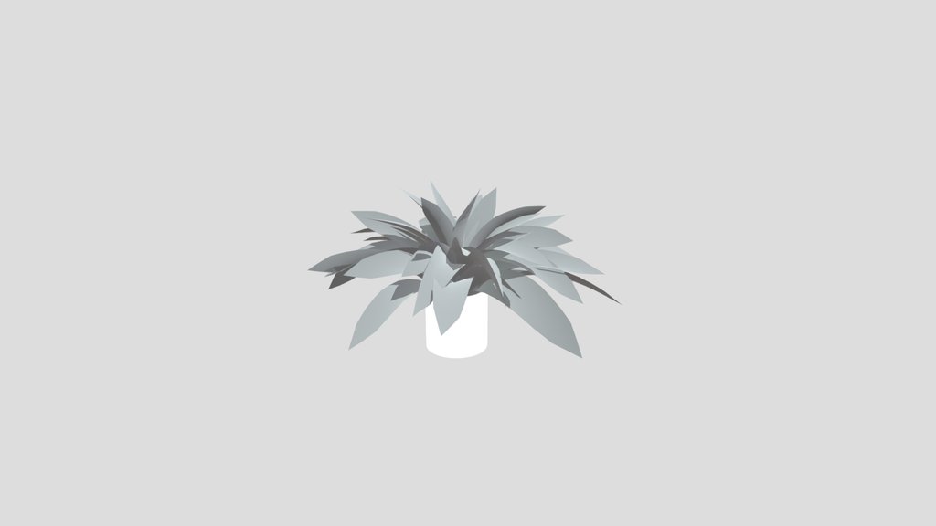 Tropical Fern Lrg Pot
