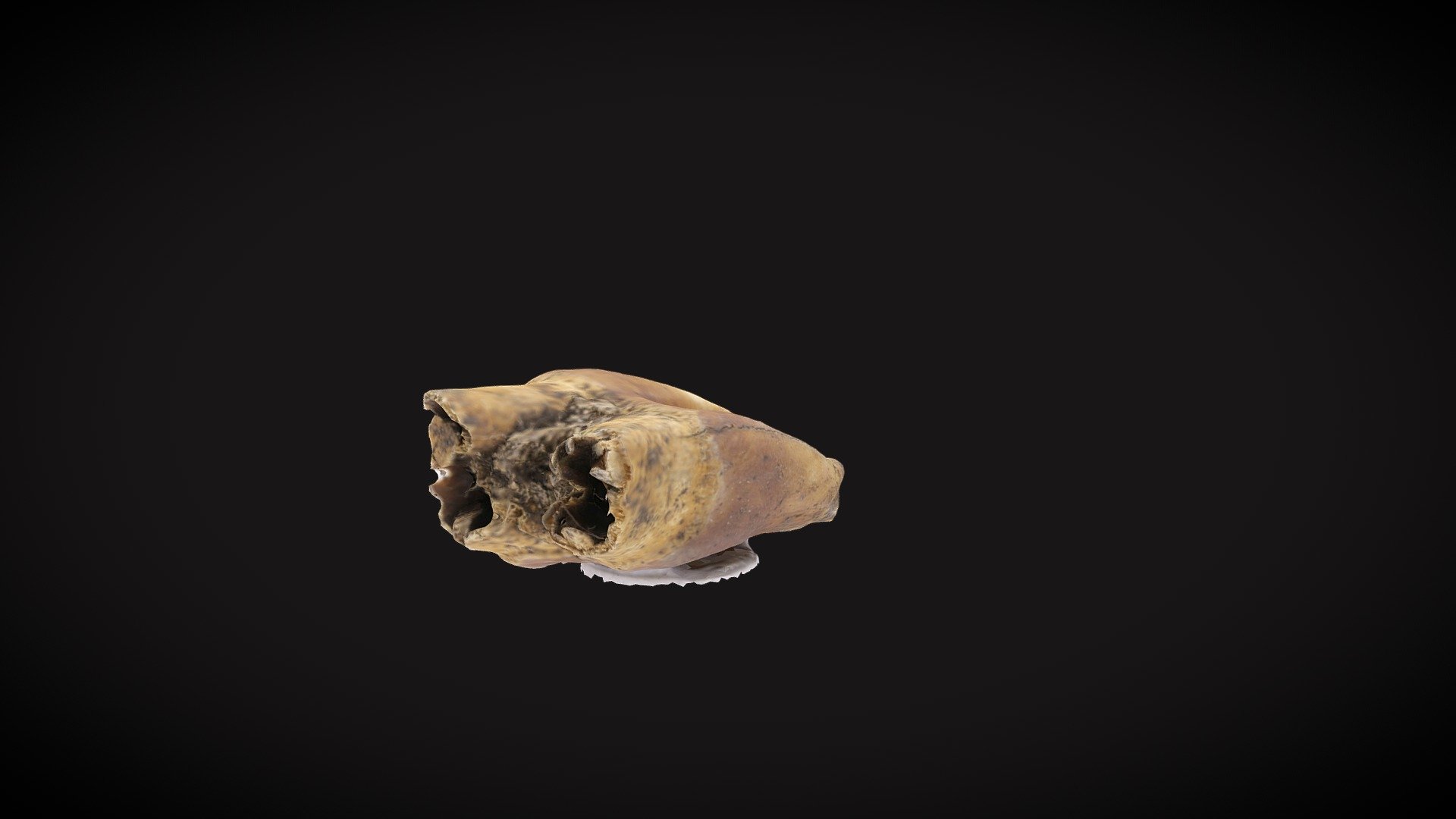 Rainow Tooth