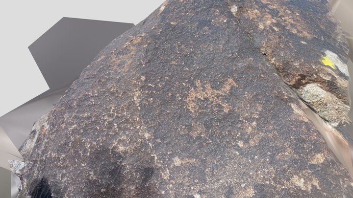 Petroglyph 11-045 Ornok Issyk-Kul Kyrgyzstan 3D Model