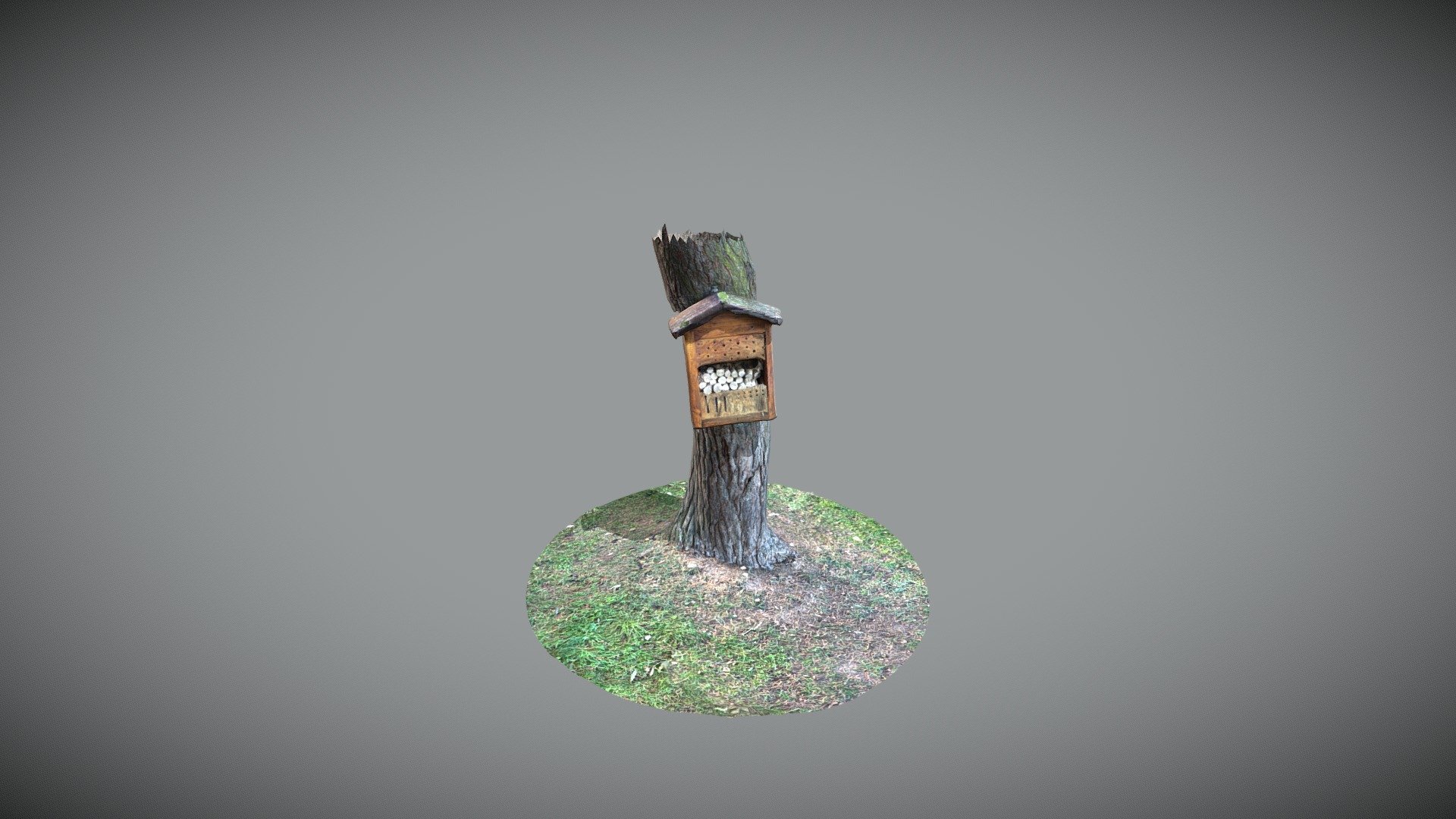 Tree trunk with insect hotel
