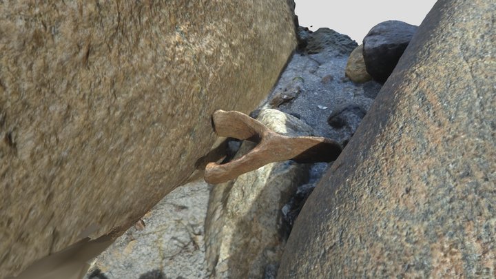a dolphin or porpoise bone . Brusand,Norway – Kostenloses 3D-Modell STL