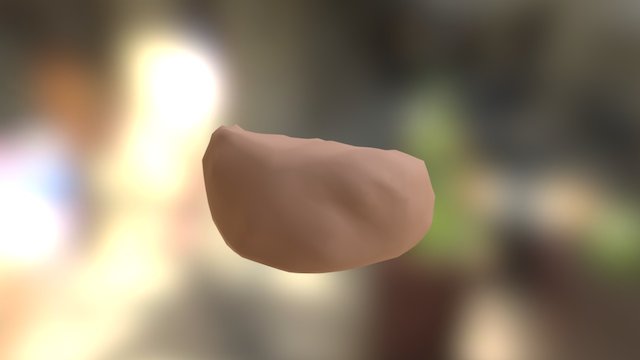Stein 3D Model