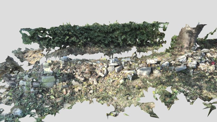 Halfway-Push-Pile-2021 3D Model