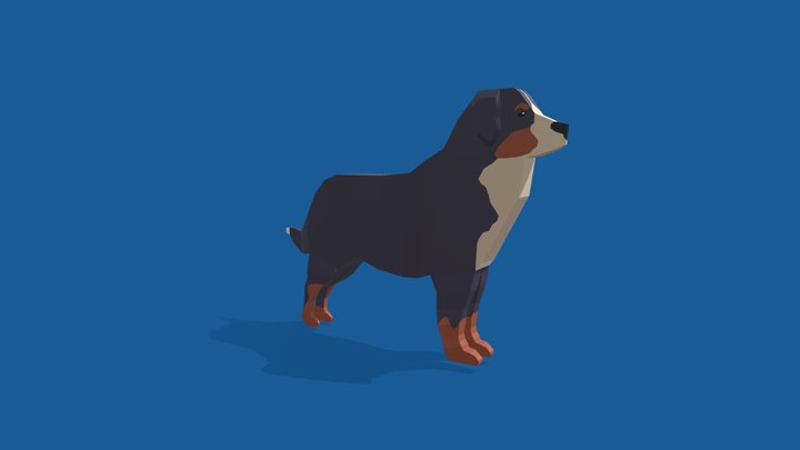 Bernese Mountain Dog Low Poly 3D Model