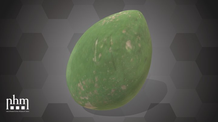Parval (NHMW-AFW-DING-0046-169) – Modèle 3D gratuit STL