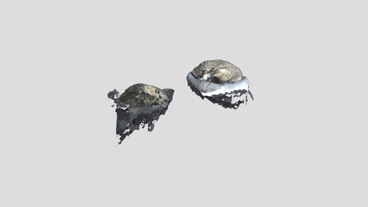The_cats_textured_mesh_medpoly_glb 3D Model