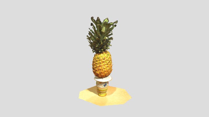 Ananas - Pineapple 3D Model