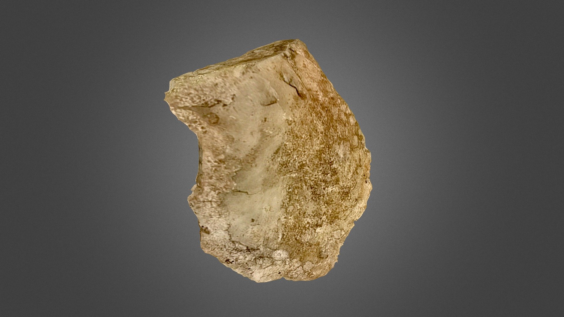 Qlone test 1 - lithic flake