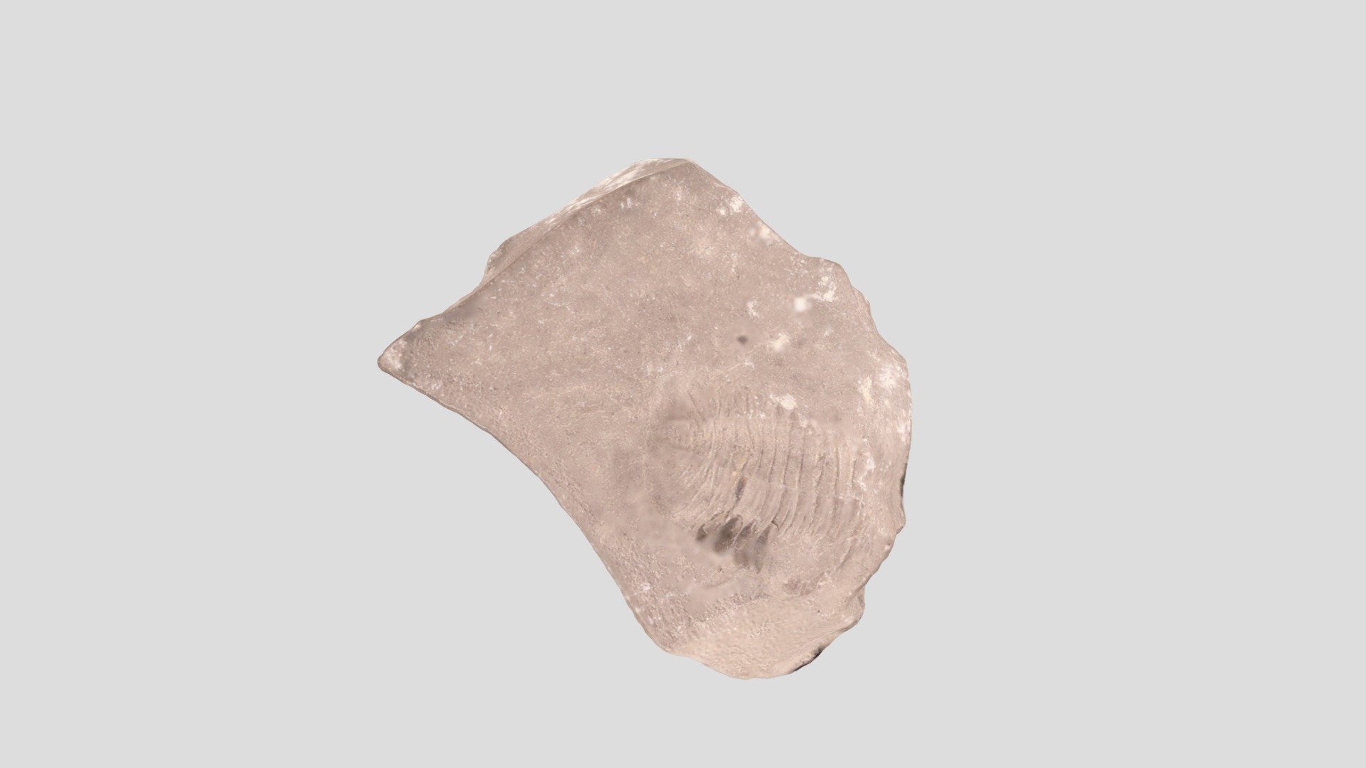 GSCI 361 Sample 5