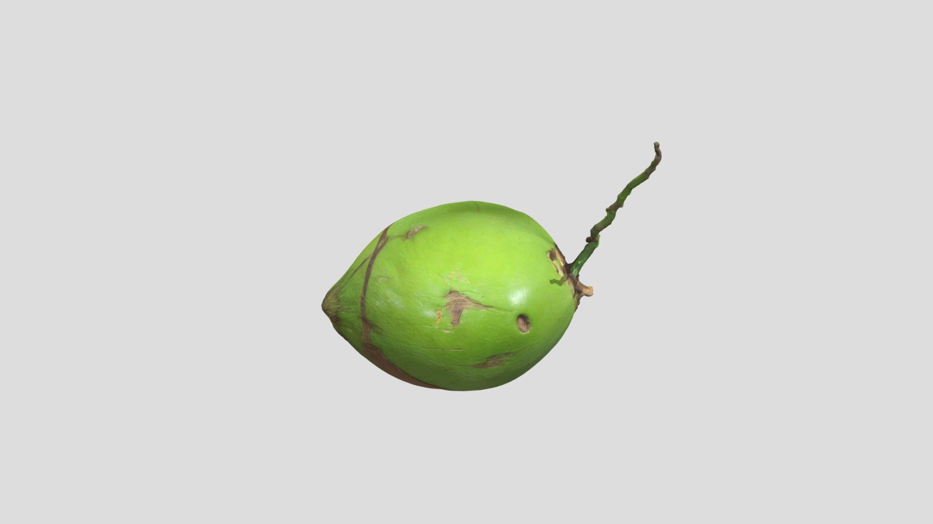Green Coconut - Download Free 3D model by laciespeed9 [118b8ef] - Sketchfab